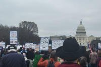 Protesters, including veterans, took to the National Mall in Washington, D.C., on Friday, March 14, 2025, to voice their displeasure about cuts to the federal workforce. At the Department of Veterans Affairs, more than 80,000 employers are expected to be fired later this year.